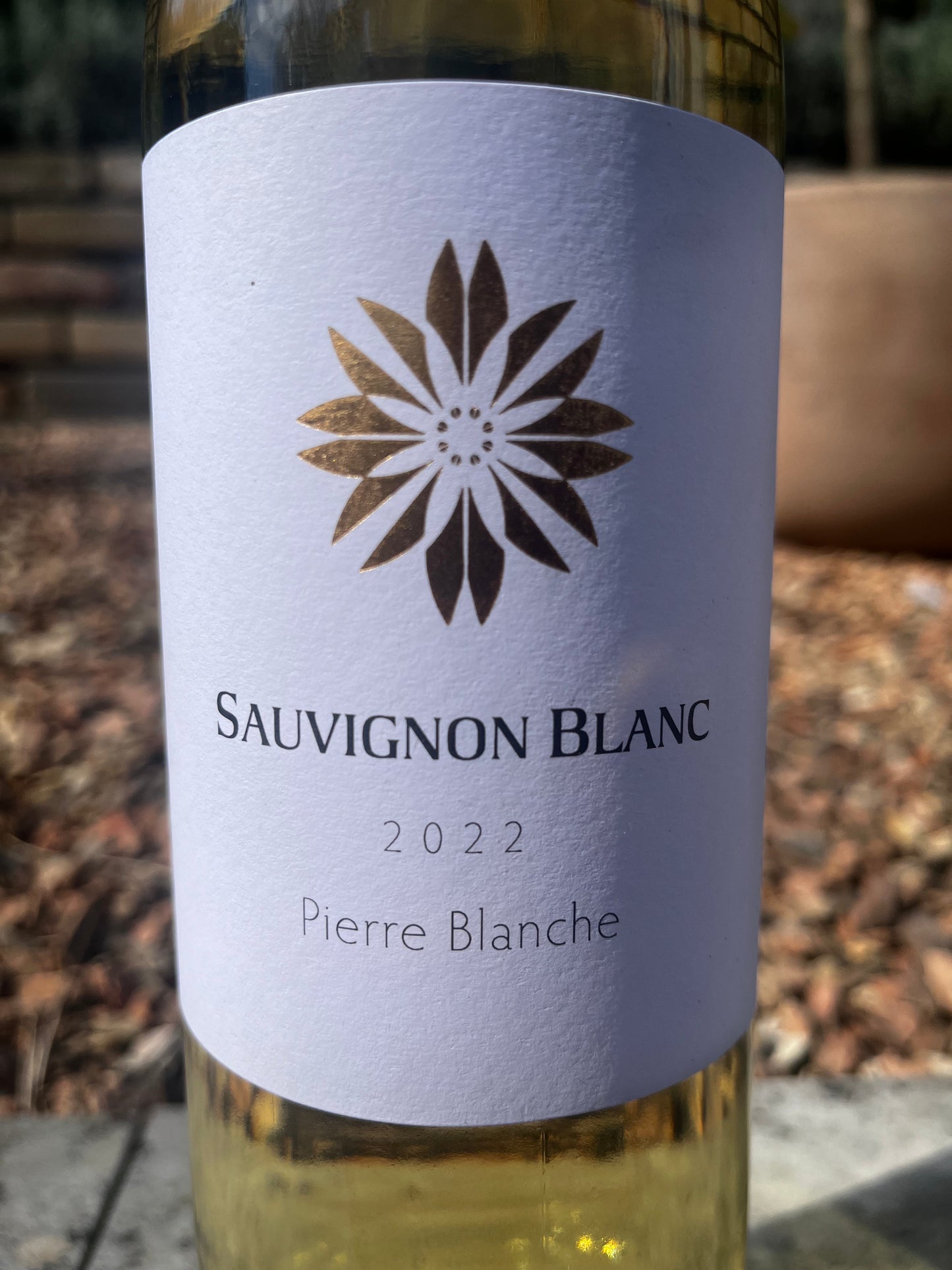 Pierre Blanche 2022