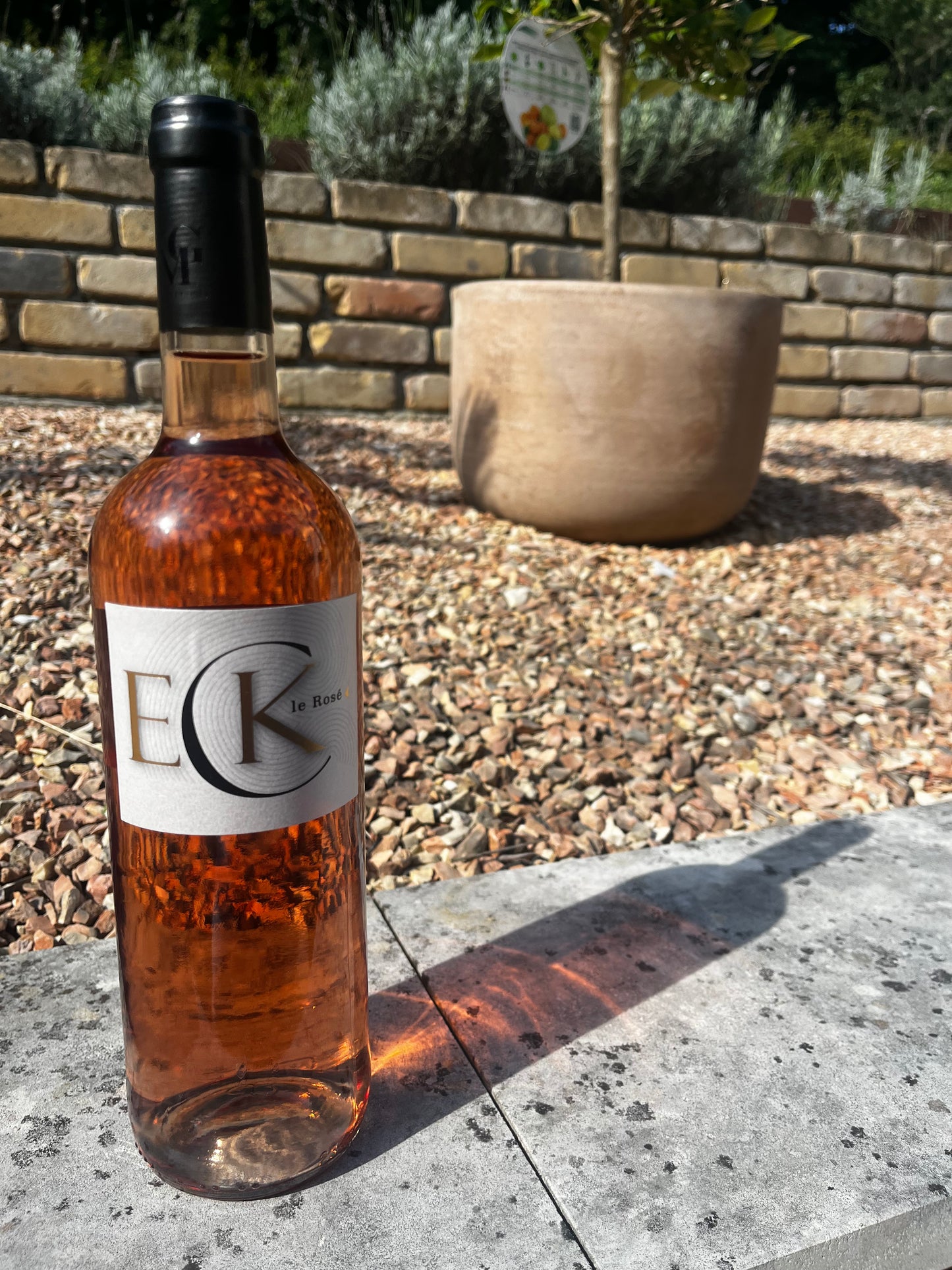 Rose d'Eck