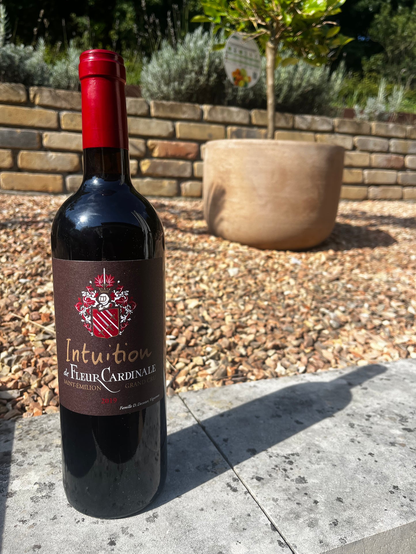 Intuition fleur cardinale 2019