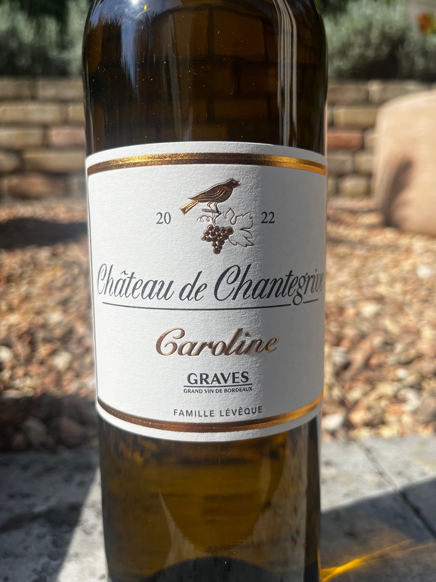Chantegrive caroline